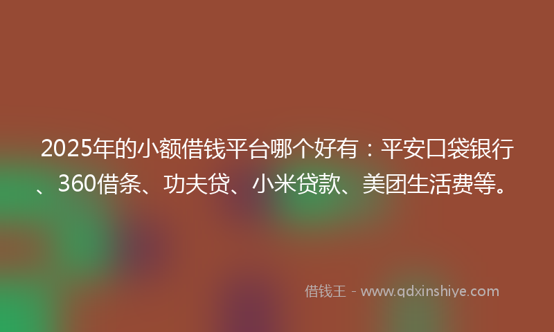 2025年的小额借钱平台哪个好有：平安口袋银行、360借条、功夫贷、小米贷款、美团生活费等。