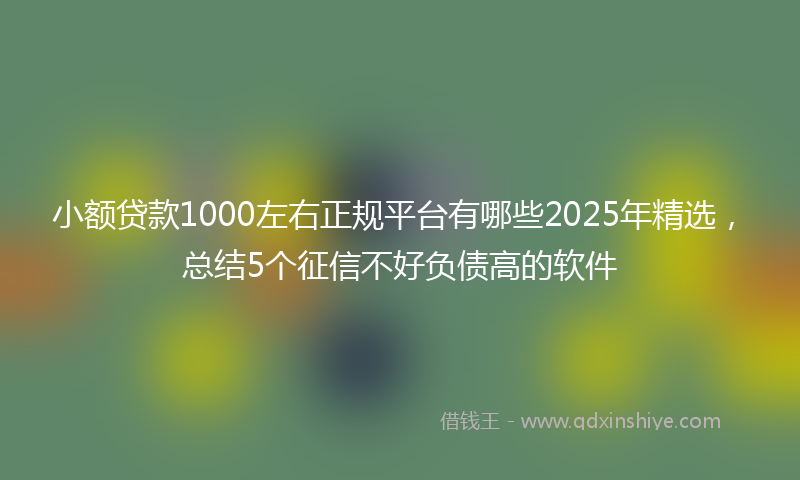 小额贷款1000左右正规平台有哪些2025年精选，总结5个征信不好负债高的软件