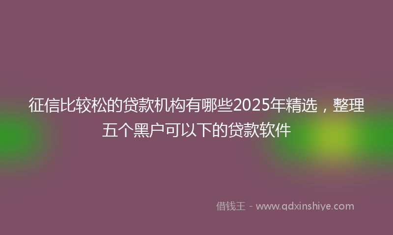 征信比较松的贷款机构有哪些2025年精选，整理五个黑户可以下的贷款软件