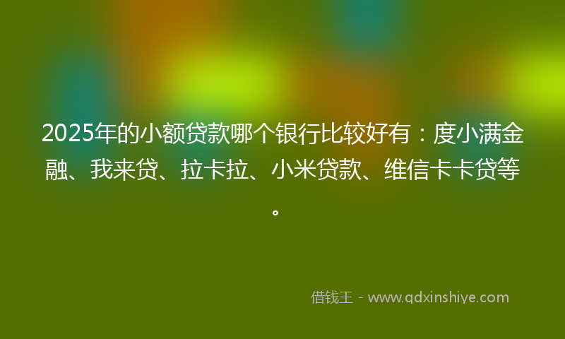 2025年的小额贷款哪个银行比较好有：度小满金融、我来贷、拉卡拉、小米贷款、维信卡卡贷等。