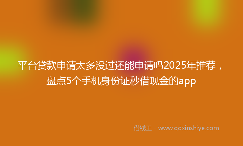 平台贷款申请太多没过还能申请吗2025年推荐，盘点5个手机身份证秒借现金的app
