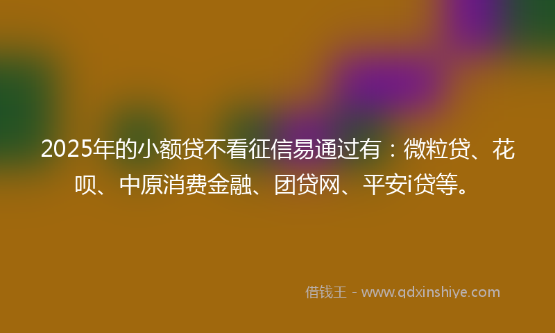 2025年的小额贷不看征信易通过有：微粒贷、花呗、中原消费金融、团贷网、平安i贷等。