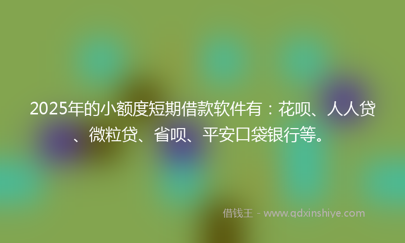 2025年的小额度短期借款软件有：花呗、人人贷、微粒贷、省呗、平安口袋银行等。
