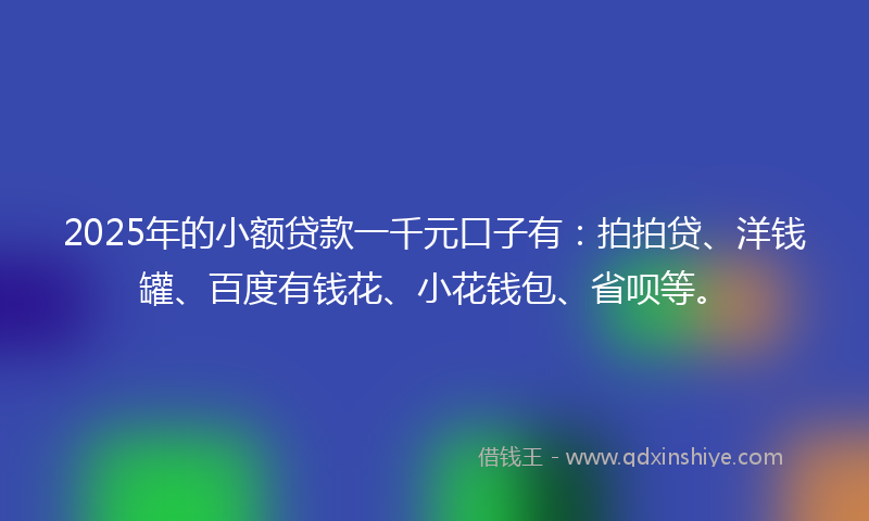 2025年的小额贷款一千元口子有：拍拍贷、洋钱罐、百度有钱花、小花钱包、省呗等。