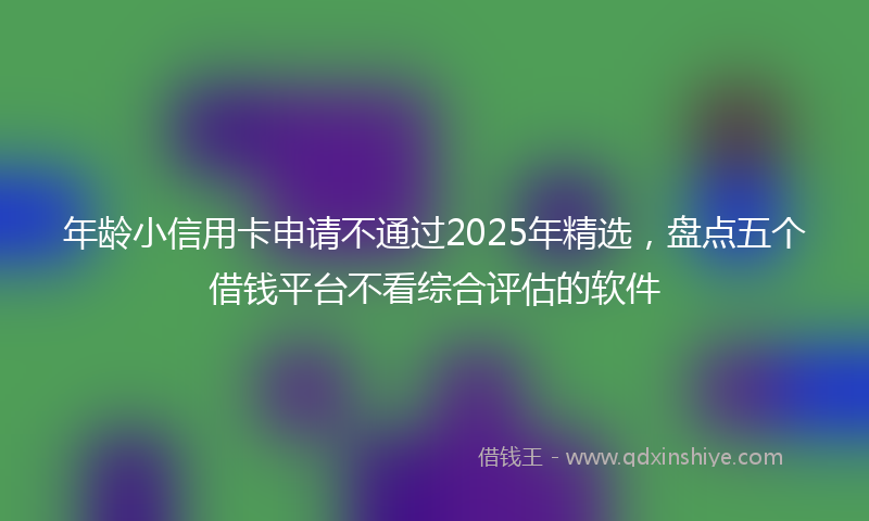 年龄小信用卡申请不通过2025年精选，盘点五个借钱平台不看综合评估的软件
