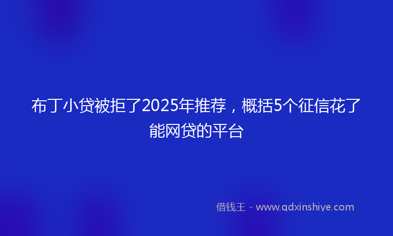 布丁小贷被拒了2025年推荐，概括5个征信花了能网贷的平台