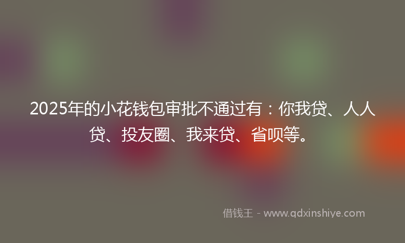 2025年的小花钱包审批不通过有：你我贷、人人贷、投友圈、我来贷、省呗等。