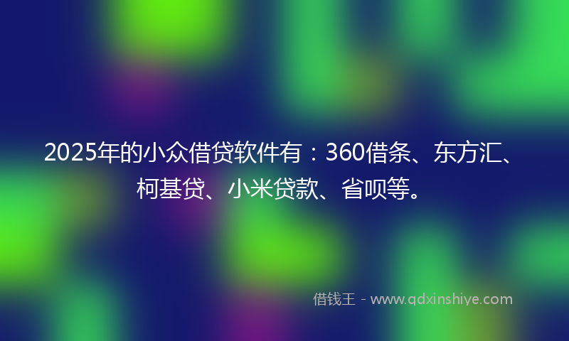 2025年的小众借贷软件有：360借条、东方汇、柯基贷、小米贷款、省呗等。