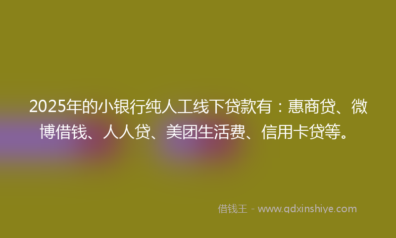 2025年的小银行纯人工线下贷款有：惠商贷、微博借钱、人人贷、美团生活费、信用卡贷等。