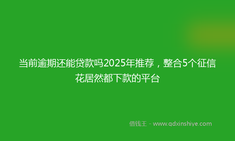 当前逾期还能贷款吗2025年推荐，整合5个征信花居然都下款的平台