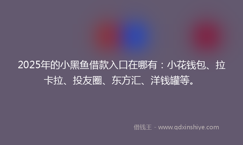 2025年的小黑鱼借款入口在哪有：小花钱包、拉卡拉、投友圈、东方汇、洋钱罐等。