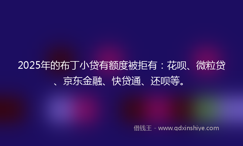 2025年的布丁小贷有额度被拒有：花呗、微粒贷、京东金融、快贷通、还呗等。