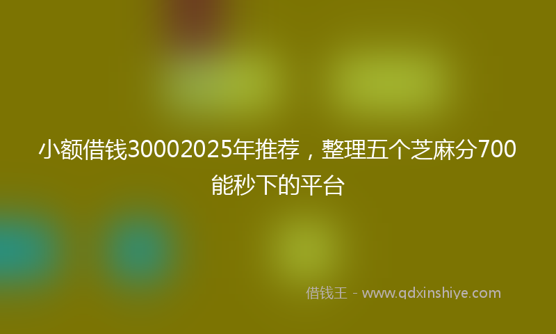 小额借钱30002025年推荐，整理五个芝麻分700能秒下的平台