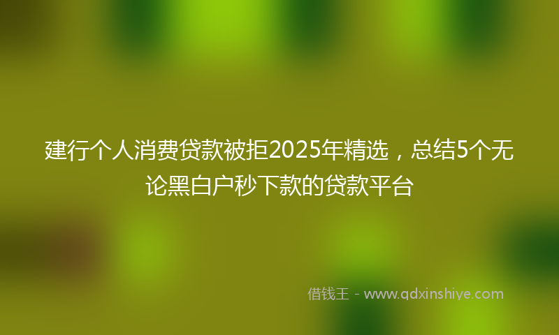 建行个人消费贷款被拒2025年精选，总结5个无论黑白户秒下款的贷款平台