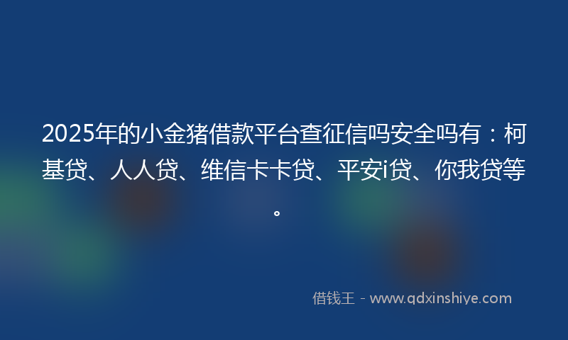 2025年的小金猪借款平台查征信吗安全吗有：柯基贷、人人贷、维信卡卡贷、平安i贷、你我贷等。