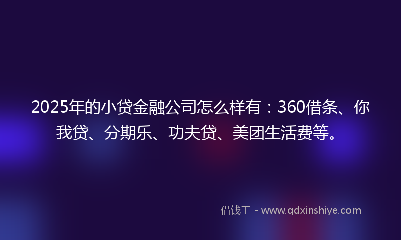 2025年的小贷金融公司怎么样有：360借条、你我贷、分期乐、功夫贷、美团生活费等。
