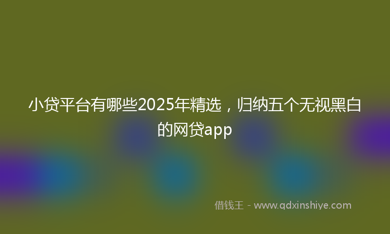 小贷平台有哪些2025年精选，归纳五个无视黑白的网贷app