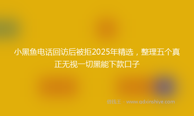 小黑鱼电话回访后被拒2025年精选，整理五个真正无视一切黑能下款口子