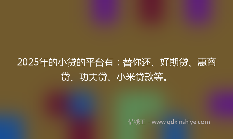 2025年的小贷的平台有：替你还、好期贷、惠商贷、功夫贷、小米贷款等。