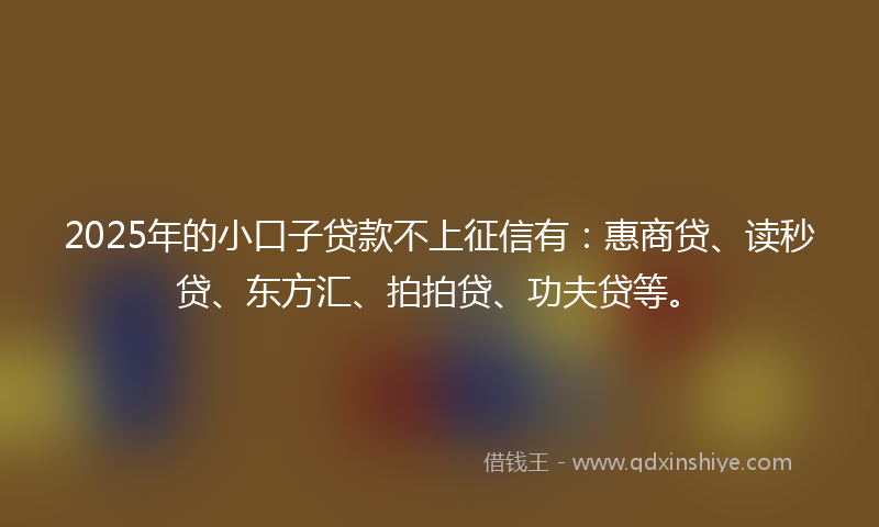 2025年的小口子贷款不上征信有：惠商贷、读秒贷、东方汇、拍拍贷、功夫贷等。