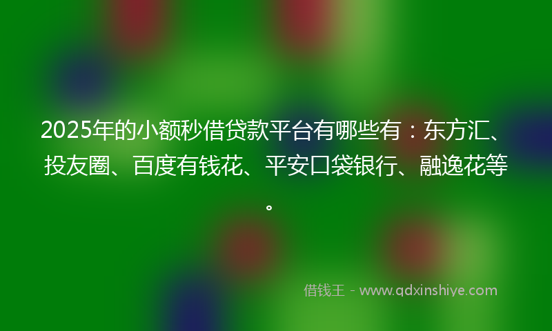 2025年的小额秒借贷款平台有哪些有：东方汇、投友圈、百度有钱花、平安口袋银行、融逸花等。