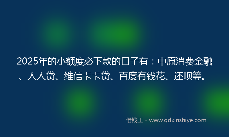 2025年的小额度必下款的口子有：中原消费金融、人人贷、维信卡卡贷、百度有钱花、还呗等。