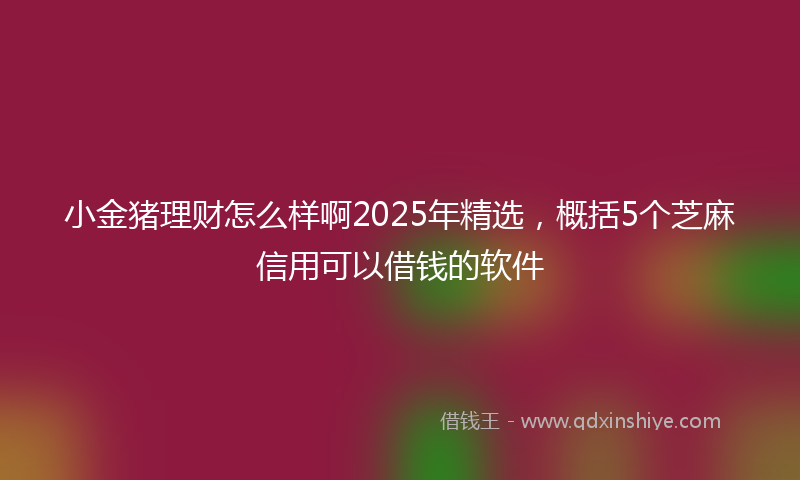 小金猪理财怎么样啊2025年精选，概括5个芝麻信用可以借钱的软件