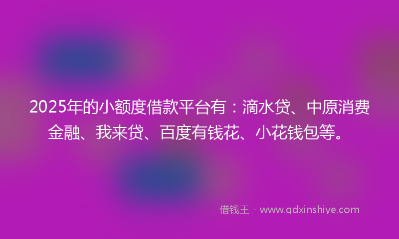 2025年的小额度借款平台有：滴水贷、中原消费金融、我来贷、百度有钱花、小花钱包等。