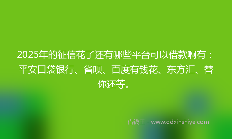2025年的征信花了还有哪些平台可以借款啊有：平安口袋银行、省呗、百度有钱花、东方汇、替你还等。