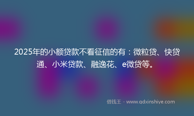 2025年的小额贷款不看征信的有：微粒贷、快贷通、小米贷款、融逸花、e微贷等。