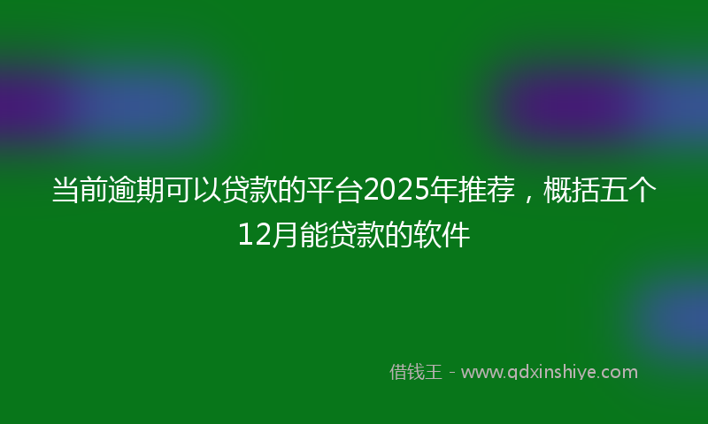 当前逾期可以贷款的平台2025年推荐，概括五个12月能贷款的软件