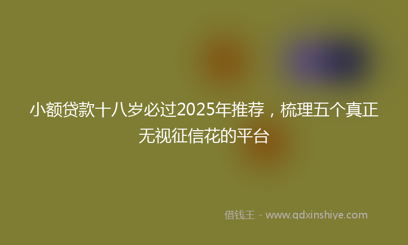 小额贷款十八岁必过2025年推荐，梳理五个真正无视征信花的平台