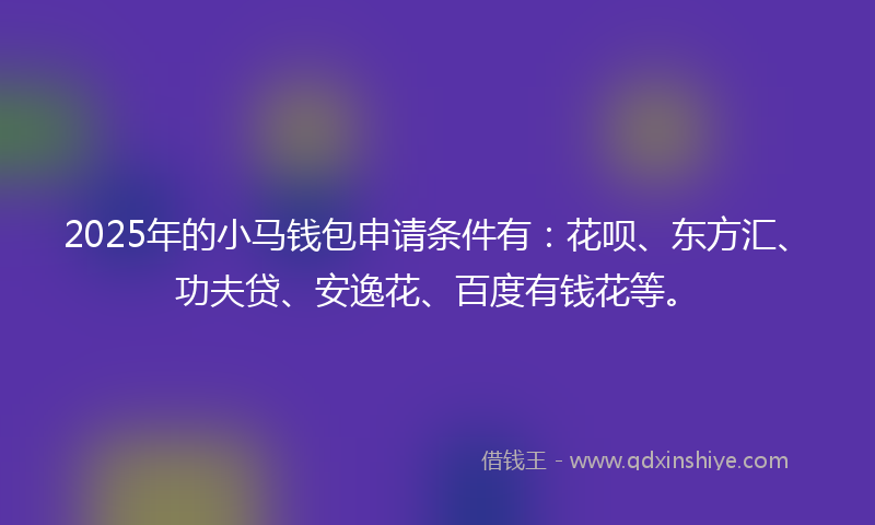 2025年的小马钱包申请条件有：花呗、东方汇、功夫贷、安逸花、百度有钱花等。