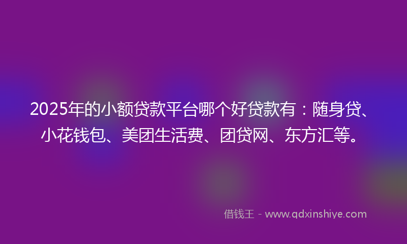 2025年的小额贷款平台哪个好贷款有：随身贷、小花钱包、美团生活费、团贷网、东方汇等。