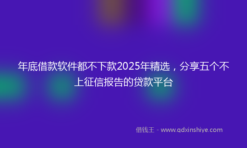 年底借款软件都不下款2025年精选，分享五个不上征信报告的贷款平台