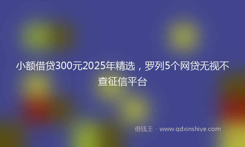 小额借贷300元2025年精选，罗列5个网贷无视不查征信平台