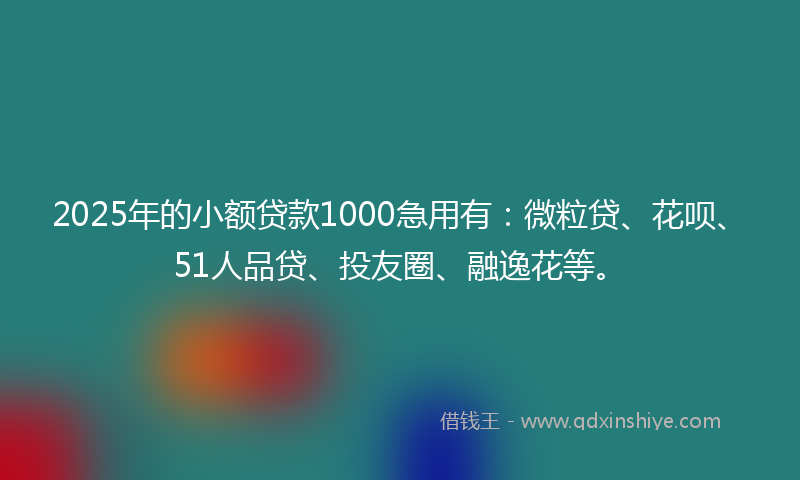 2025年的小额贷款1000急用有：微粒贷、花呗、51人品贷、投友圈、融逸花等。