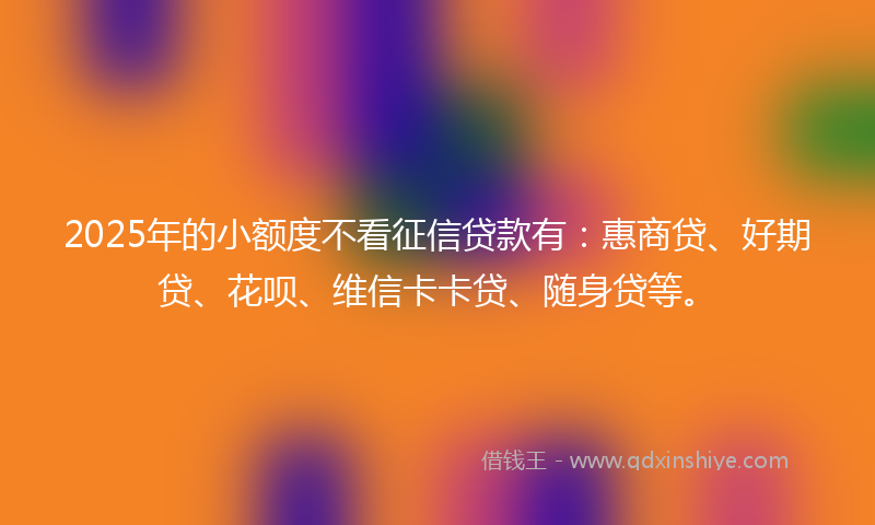 2025年的小额度不看征信贷款有：惠商贷、好期贷、花呗、维信卡卡贷、随身贷等。