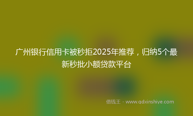 广州银行信用卡被秒拒2025年推荐，归纳5个最新秒批小额贷款平台