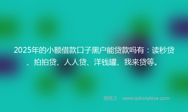 2025年的小额借款口子黑户能贷款吗有：读秒贷、拍拍贷、人人贷、洋钱罐、我来贷等。