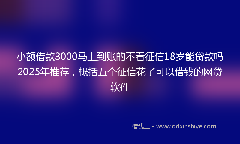 小额借款3000马上到账的不看征信18岁能贷款吗2025年推荐，概括五个征信花了可以借钱的网贷软件