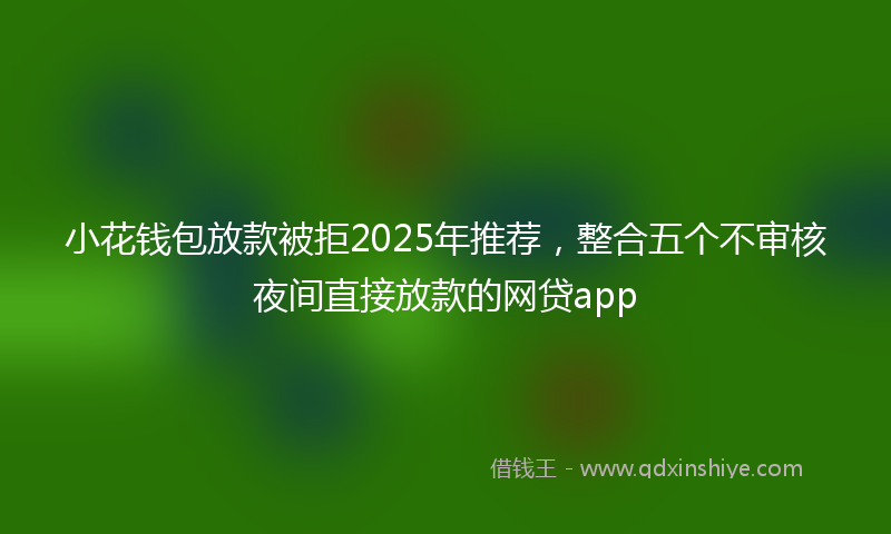 小花钱包放款被拒2025年推荐，整合五个不审核夜间直接放款的网贷app