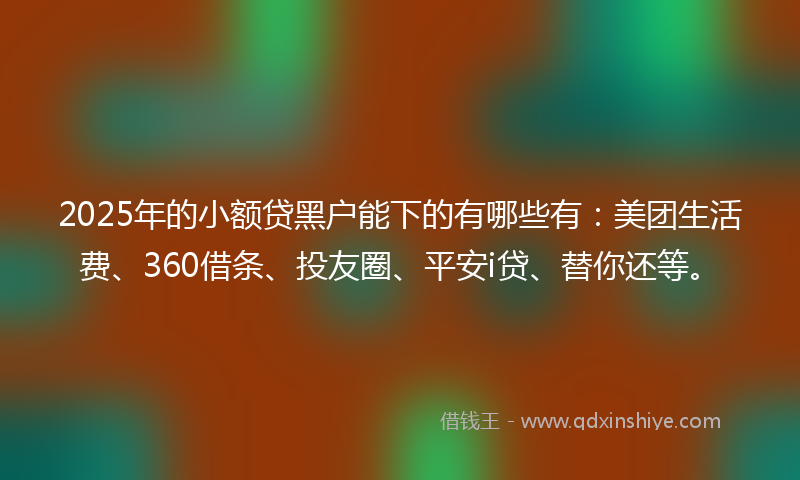 2025年的小额贷黑户能下的有哪些有：美团生活费、360借条、投友圈、平安i贷、替你还等。