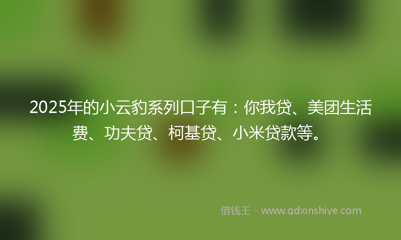 2025年的小云豹系列口子有：你我贷、美团生活费、功夫贷、柯基贷、小米贷款等。