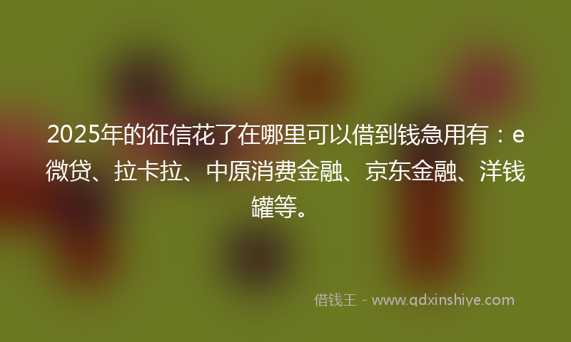 2025年的征信花了在哪里可以借到钱急用有：e微贷、拉卡拉、中原消费金融、京东金融、洋钱罐等。