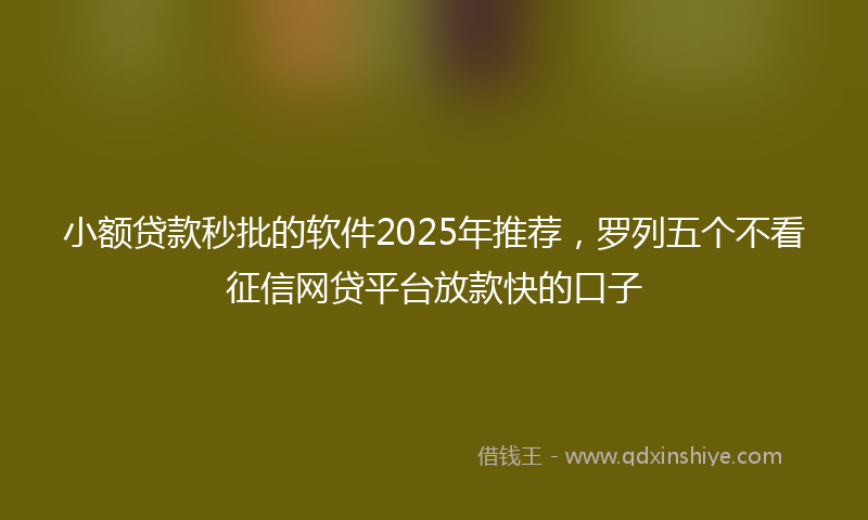 小额贷款秒批的软件2025年推荐，罗列五个不看征信网贷平台放款快的口子