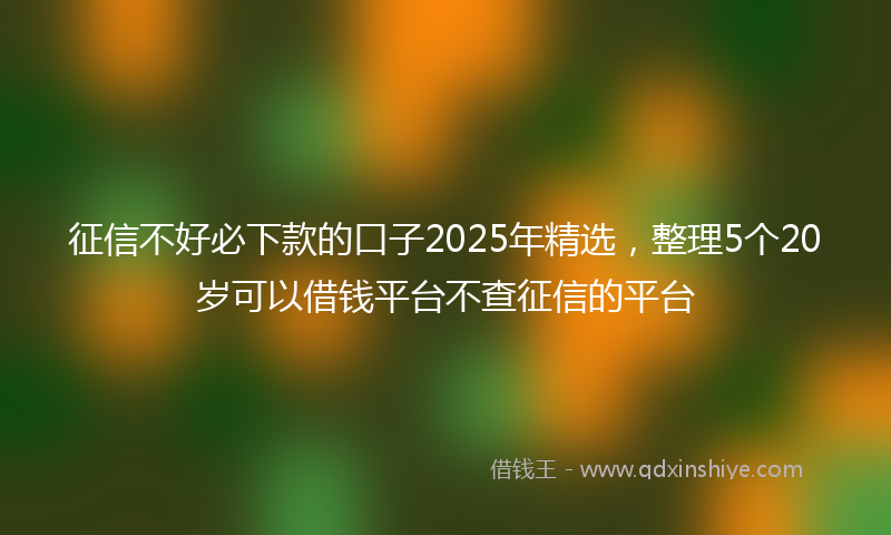 征信不好必下款的口子2025年精选，整理5个20岁可以借钱平台不查征信的平台