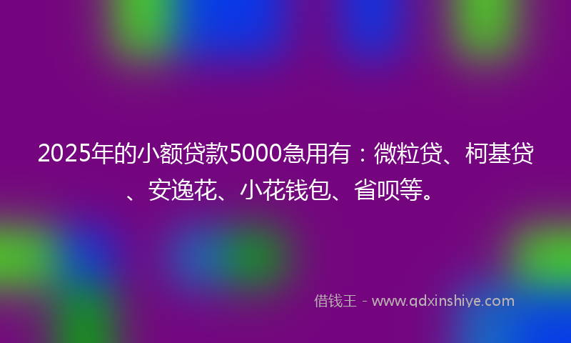 2025年的小额贷款5000急用有：微粒贷、柯基贷、安逸花、小花钱包、省呗等。