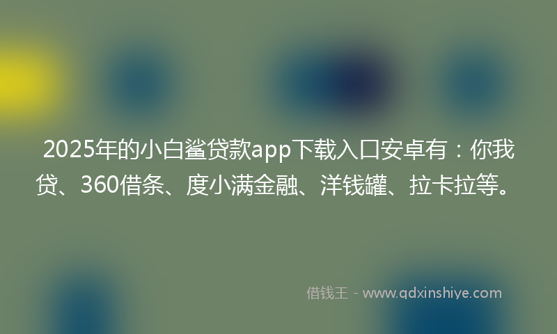 2025年的小白鲨贷款app下载入口安卓有：你我贷、360借条、度小满金融、洋钱罐、拉卡拉等。