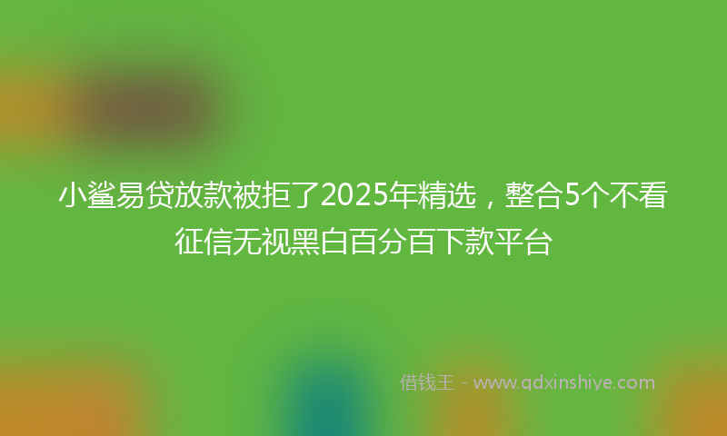 小鲨易贷放款被拒了2025年精选，整合5个不看征信无视黑白百分百下款平台